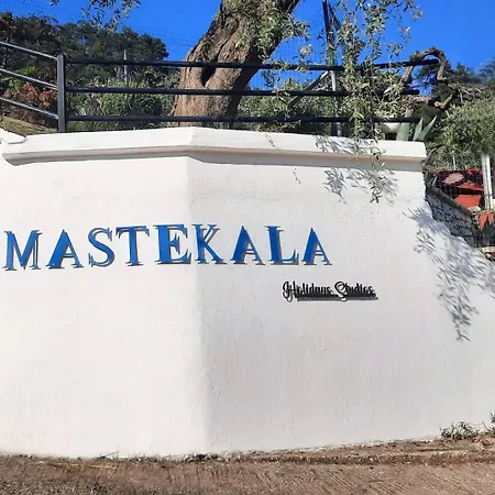 Namastekala Holidays *